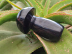 Polished Black Basalt Mushrooms x 3 From Madagascar
