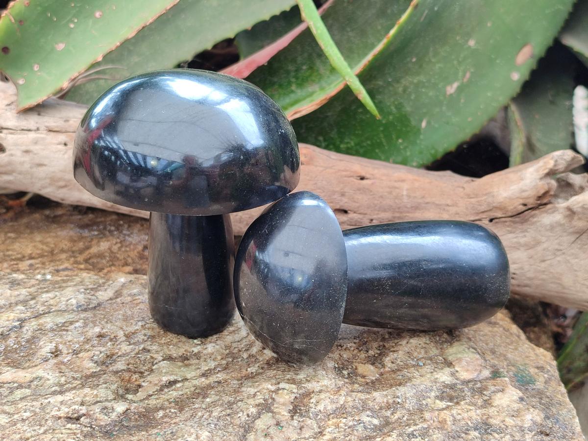 Polished Black Basalt Mushrooms x 3 From Madagascar