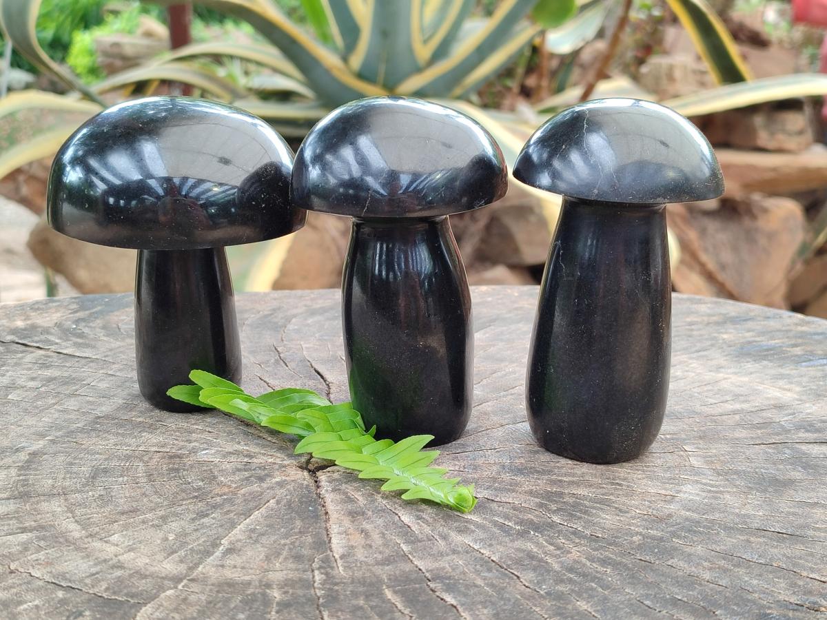 Polished Black Basalt Mushrooms x 3 From Madagascar