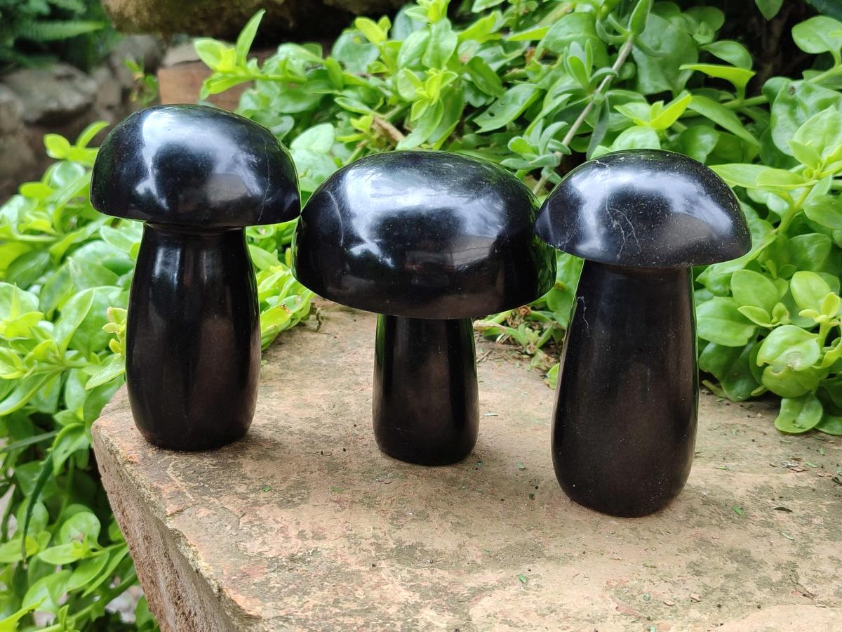 Polished Black Basalt Mushrooms x 3 From Madagascar