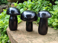 Polished Black Basalt Mushrooms x 3 From Madagascar