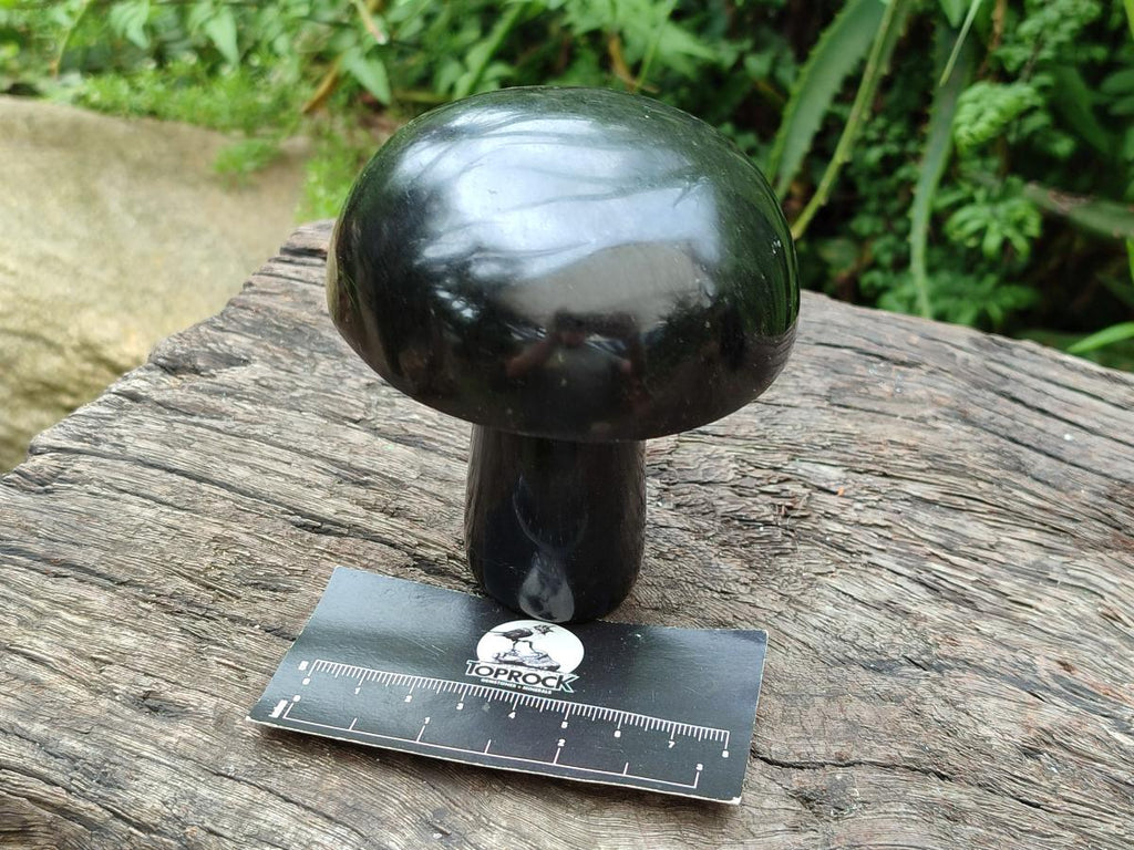 Polished Black Basalt Mushrooms x 3 From Madagascar