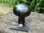Polished Black Basalt Mushrooms x 3 From Madagascar