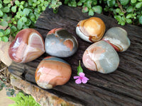 Polished Polychrome Jasper Hearts x 6 From NW Coast, Madagascar