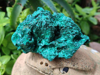 Natural Silky Malachite Specimens x 6 From Kasompe, Congo