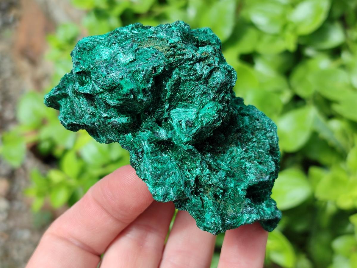 Natural Silky Malachite Specimens x 6 From Kasompe, Congo