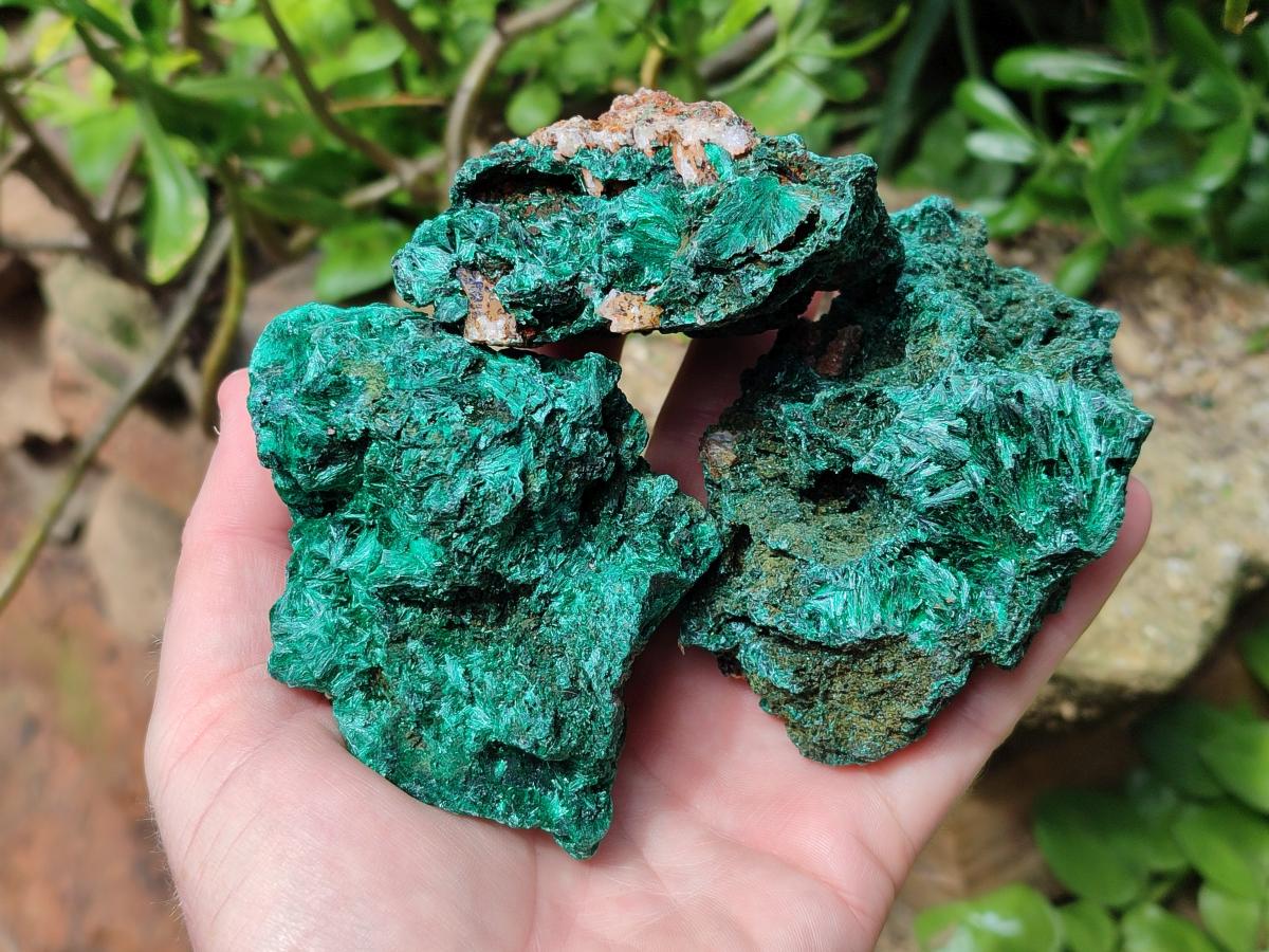 Natural Silky Malachite Specimens x 6 From Kasompe, Congo