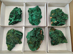 Natural Silky Malachite Specimens x 6 From Kasompe, Congo