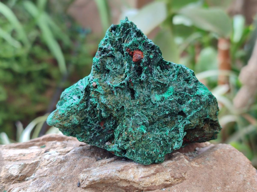 Natural Silky Malachite Specimens x 6 From Kasompe, Congo