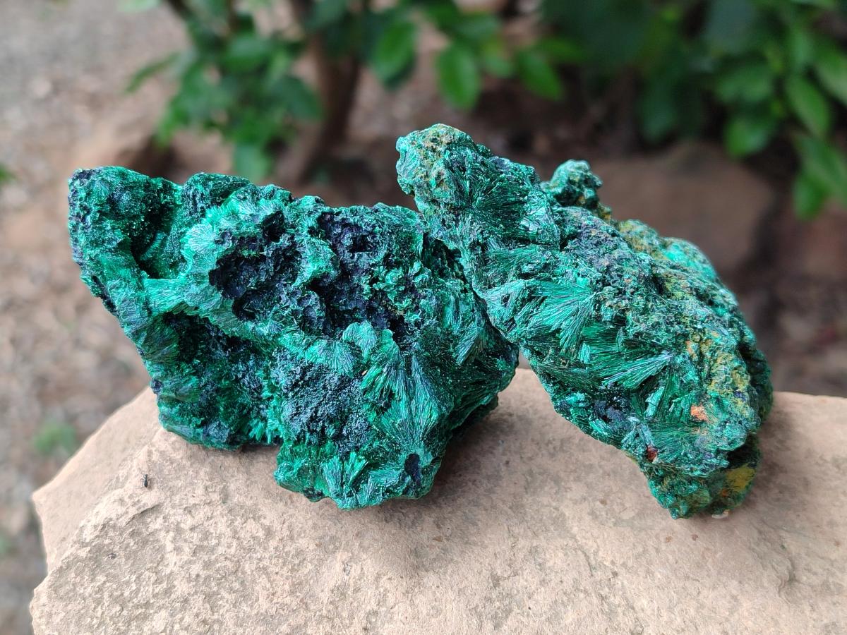Natural Silky Malachite Specimens x 6 From Kasompe, Congo