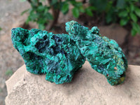 Natural Silky Malachite Specimens x 6 From Kasompe, Congo