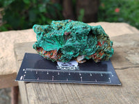 Natural Silky Malachite Specimens x 6 From Kasompe, Congo