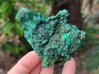 Natural Silky Malachite Specimens x 6 From Kasompe, Congo