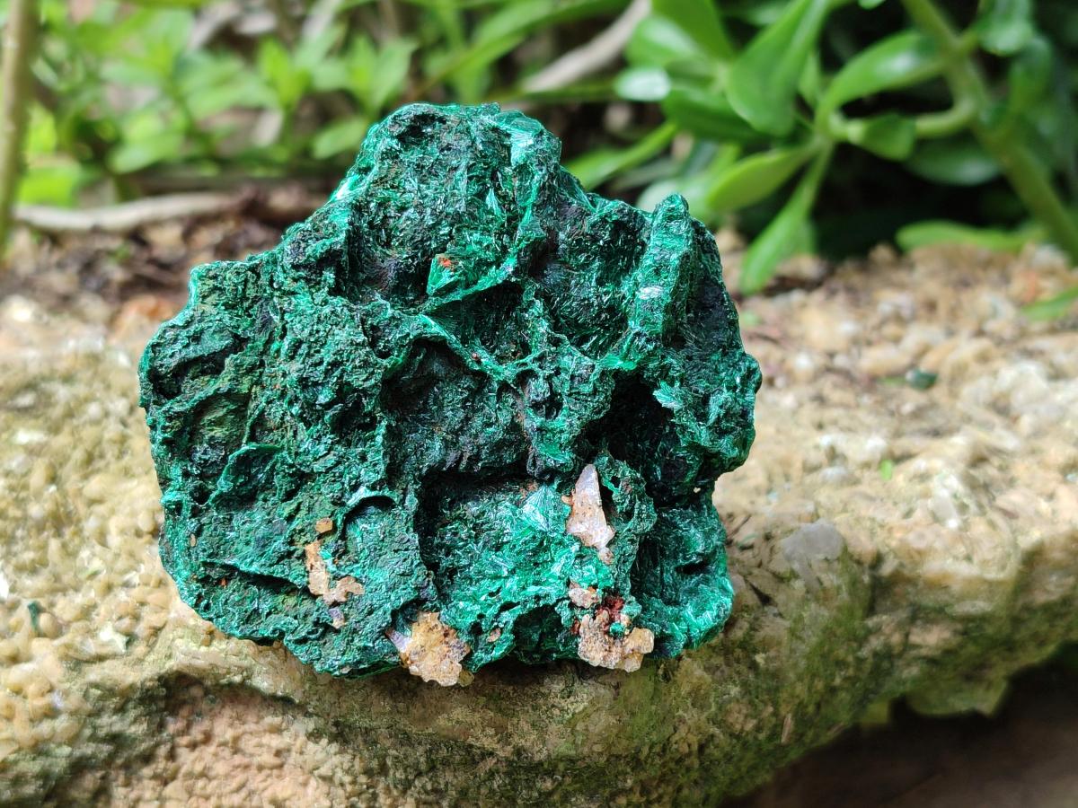 Natural Silky Malachite Specimens x 6 From Kasompe, Congo