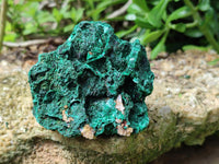 Natural Silky Malachite Specimens x 6 From Kasompe, Congo