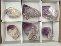Polished Jacaranda Amethyst Crystals x 6 From Mumbwa, Zambia