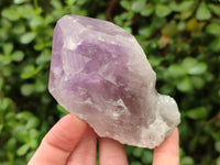 Polished Jacaranda Amethyst Crystals x 6 From Mumbwa, Zambia