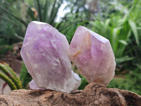 Polished Jacaranda Amethyst Crystals x 6 From Mumbwa, Zambia