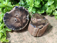 Polished On One Side Petrified Wood Branches x 4 From Gokwe, Zimbabwe