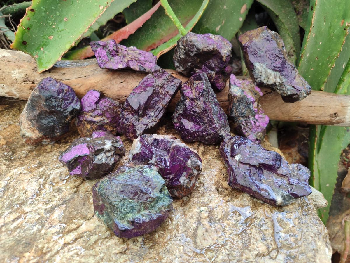 Natural Metallic Purpurite Specimens x 12 From Erongo, Namibia