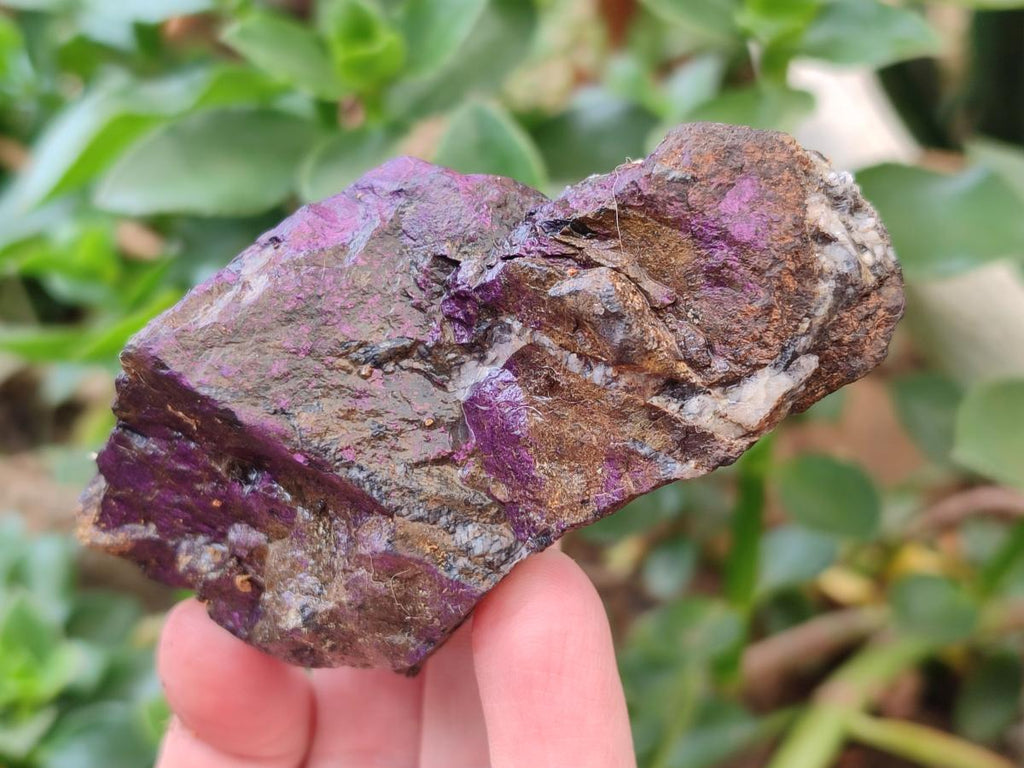 Natural Metallic Purpurite Specimens x 12 From Erongo, Namibia