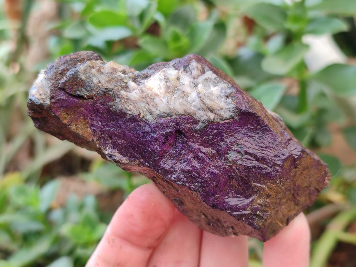 Natural Metallic Purpurite Specimens x 12 From Erongo, Namibia