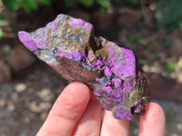 Natural Metallic Purpurite Specimens x 12 From Erongo, Namibia