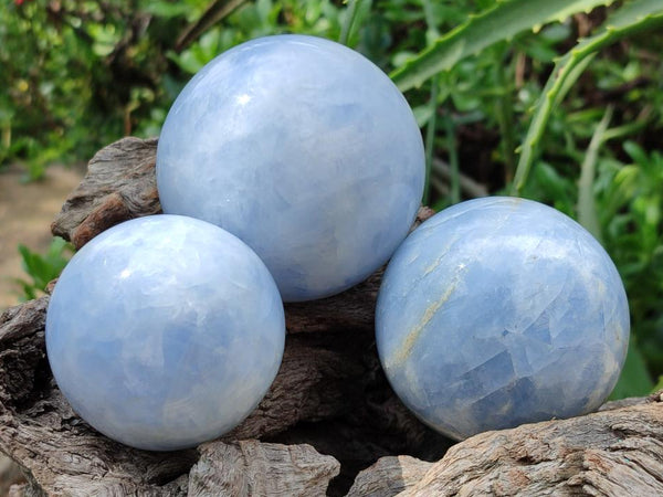 Polished Blue Calcite Spheres x 4 From Madagascar