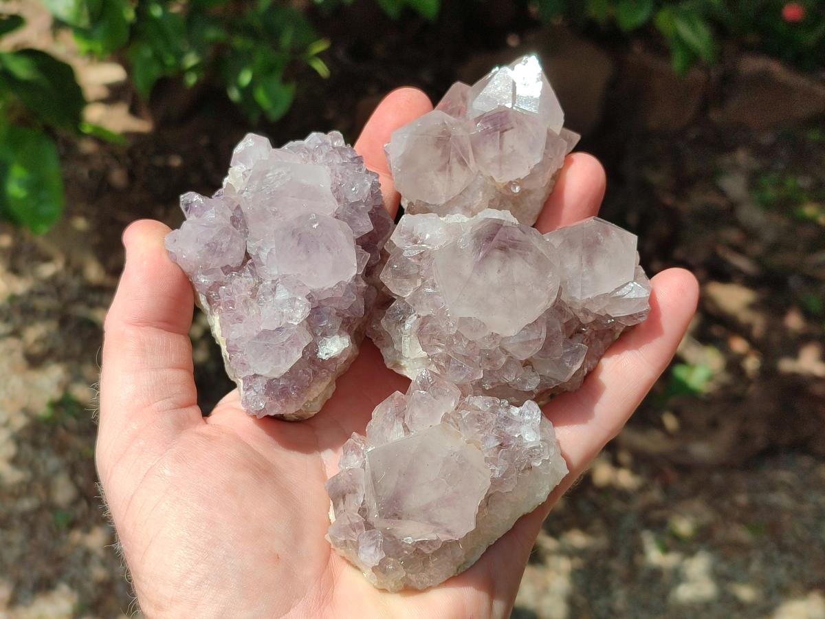 Natural Lilac Amethyst Spirit Clusters x 12 From Boekenhouthoek, South Africa