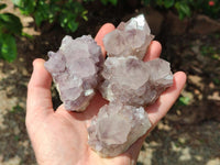 Natural Lilac Amethyst Spirit Clusters x 12 From Boekenhouthoek, South Africa
