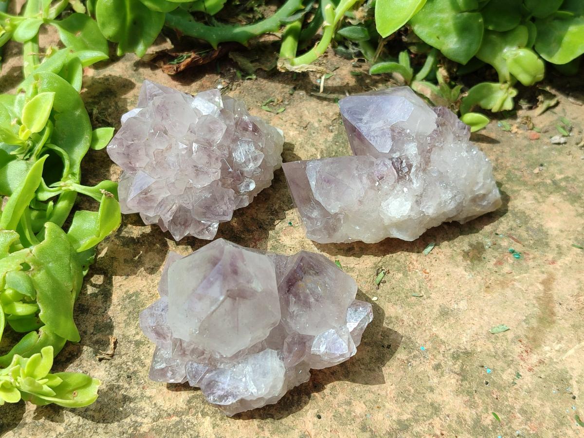 Natural Lilac Amethyst Spirit Clusters x 12 From Boekenhouthoek, South Africa