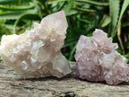 Natural Lilac Amethyst Spirit Clusters x 12 From Boekenhouthoek, South Africa