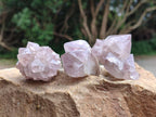 Natural Lilac Amethyst Spirit Clusters x 12 From Boekenhouthoek, South Africa