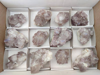Natural Lilac Amethyst Spirit Clusters x 12 From Boekenhouthoek, South Africa
