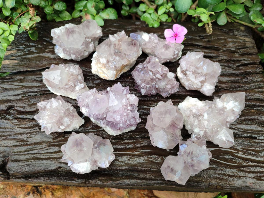 Natural Lilac Amethyst Spirit Clusters x 12 From Boekenhouthoek, South Africa