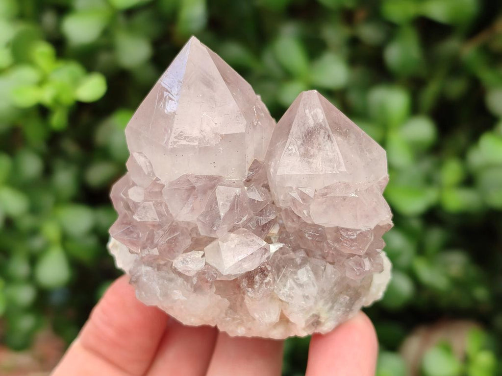 Natural Lilac Amethyst Spirit Clusters x 12 From Boekenhouthoek, South Africa