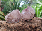 Natural Lilac Amethyst Spirit Clusters x 12 From Boekenhouthoek, South Africa