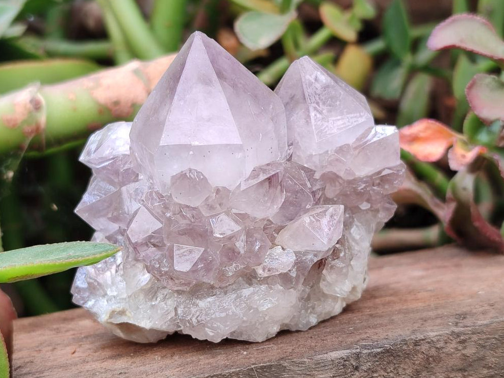 Natural Lilac Amethyst Spirit Clusters x 12 From Boekenhouthoek, South Africa