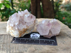 Natural Lilac Amethyst Spirit Clusters x 12 From Boekenhouthoek, South Africa