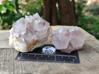 Natural Lilac Amethyst Spirit Clusters x 12 From Boekenhouthoek, South Africa
