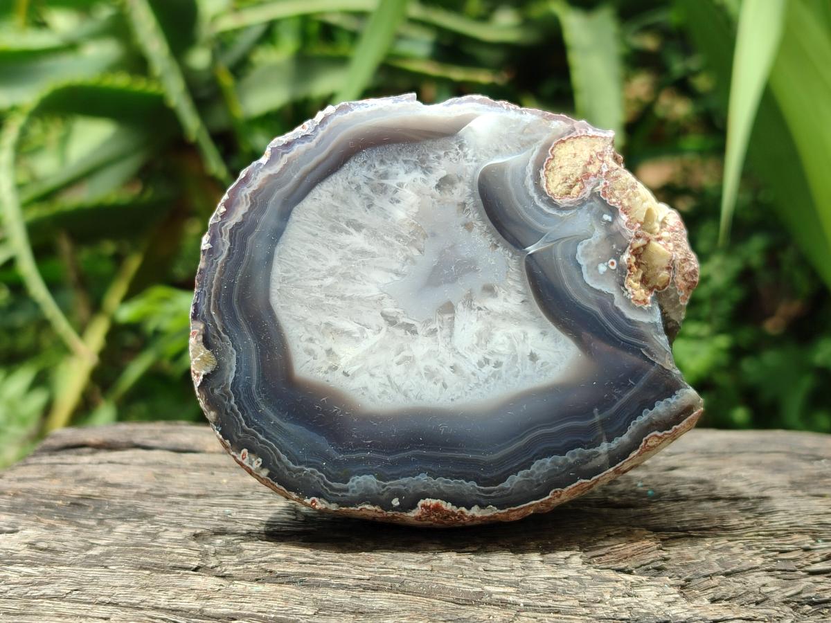 Polished On One Side Red Shashe River Agate Nodules x 12 From Shashe River, Zimbabwe