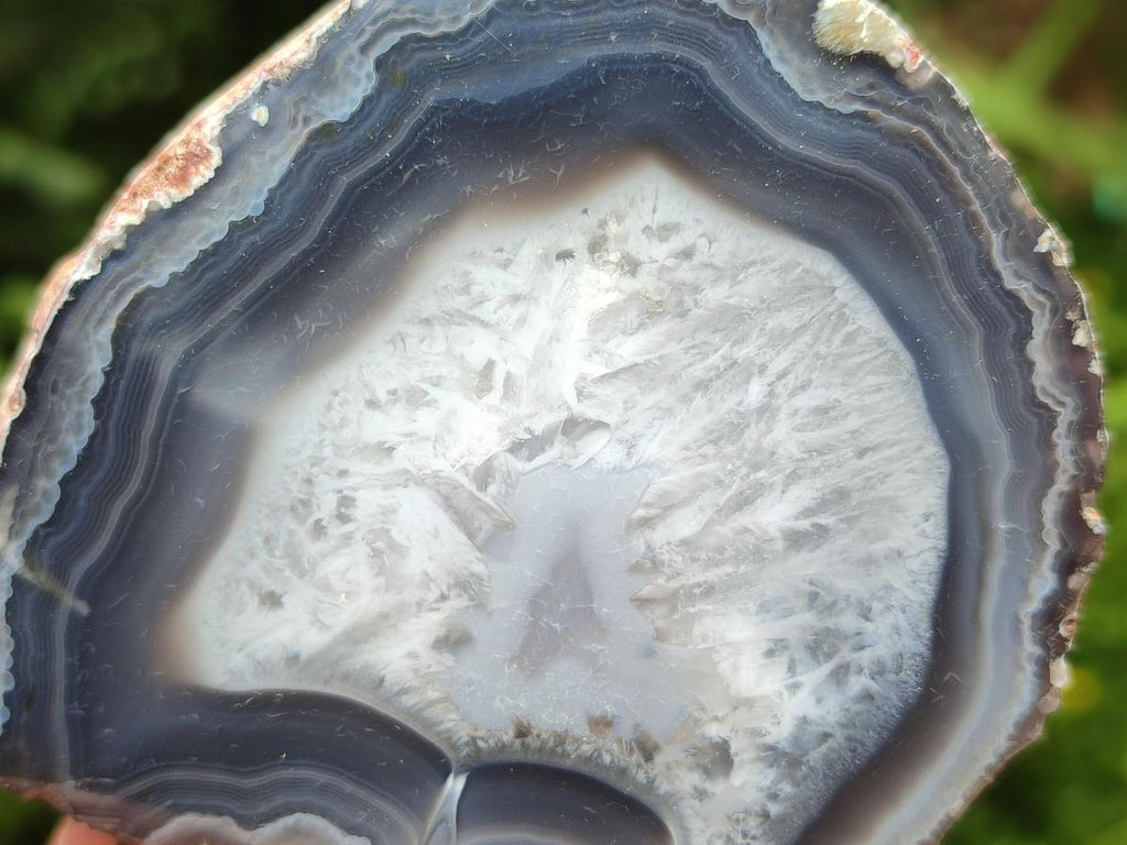 Polished On One Side Red Shashe River Agate Nodules x 12 From Shashe River, Zimbabwe