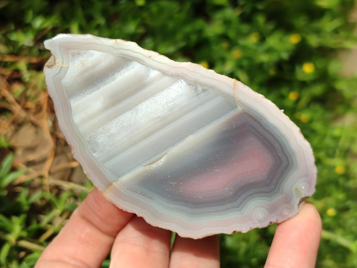Polished On One Side Red Shashe River Agate Nodules x 12 From Shashe River, Zimbabwe