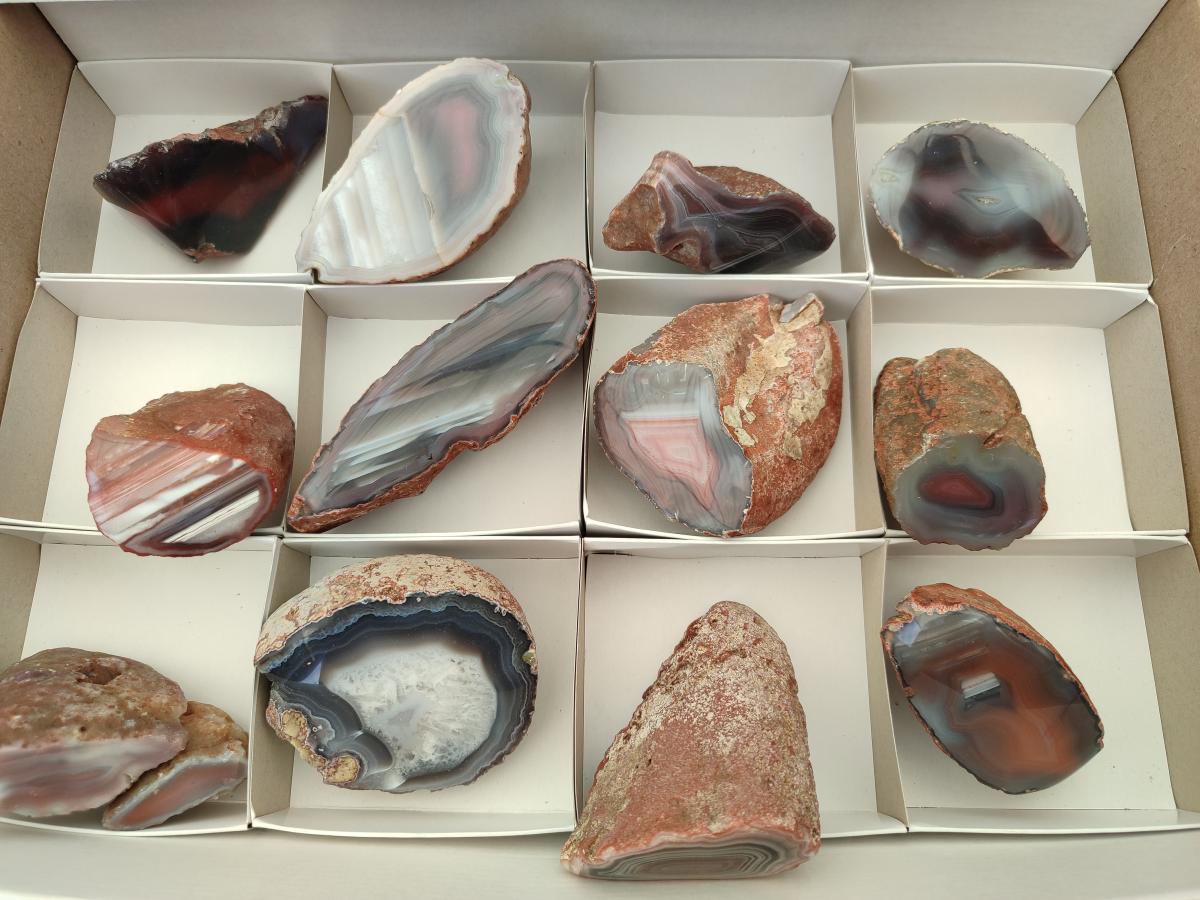 Polished On One Side Red Shashe River Agate Nodules x 12 From Shashe River, Zimbabwe