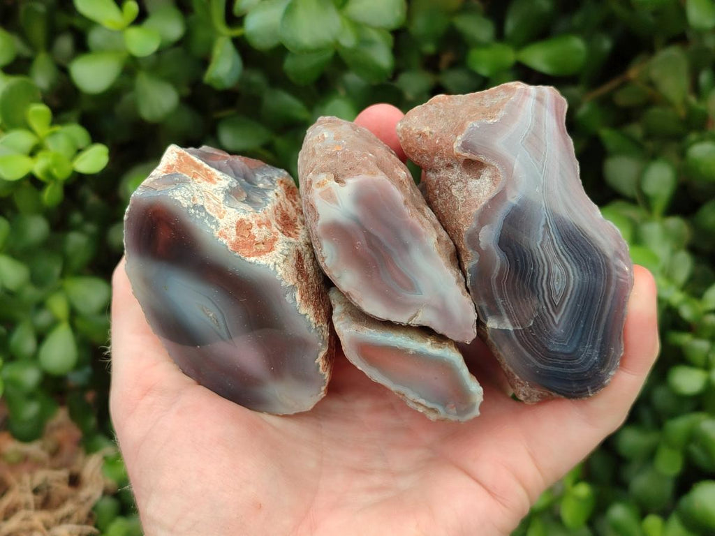 Polished On One Side Red Shashe River Agate Nodules x 12 From Shashe River, Zimbabwe