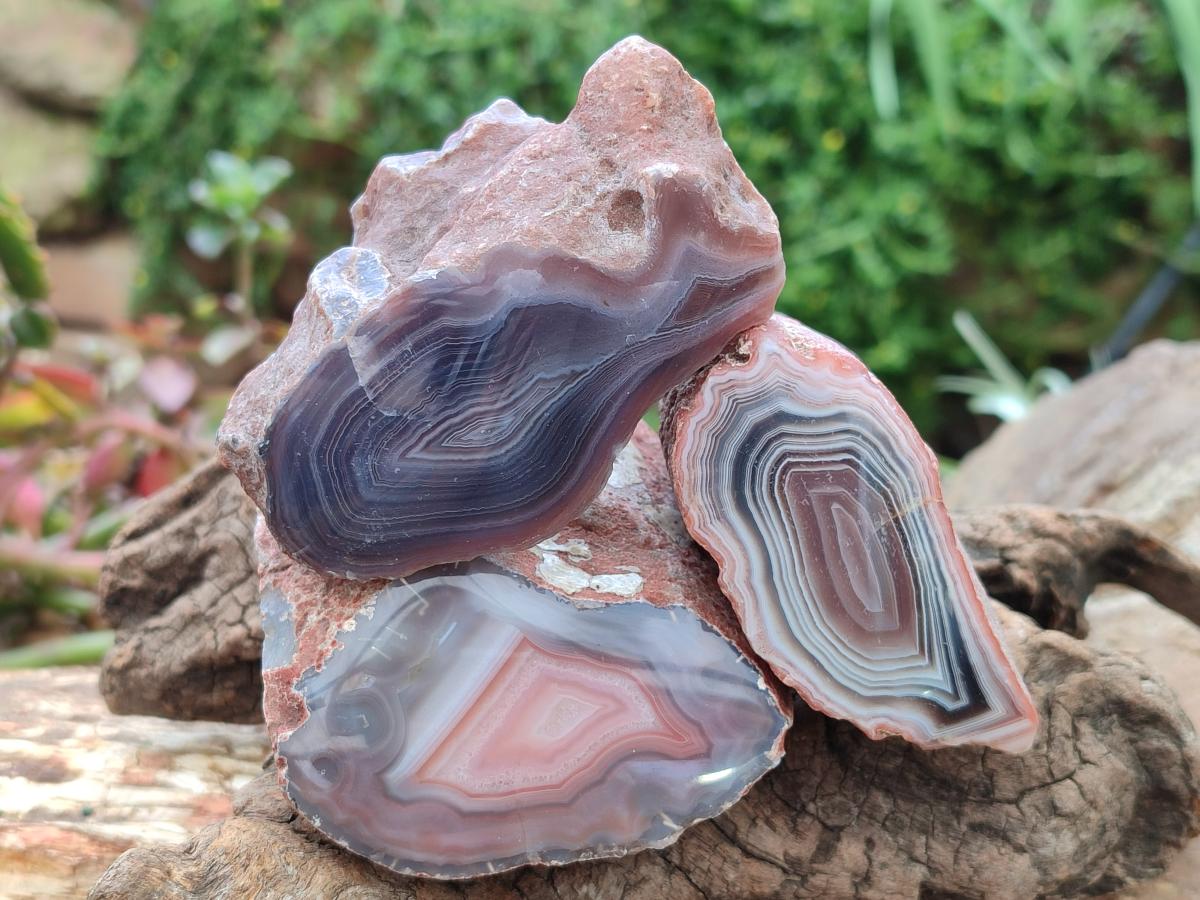Polished On One Side Red Shashe River Agate Nodules x 12 From Shashe River, Zimbabwe