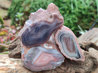 Polished On One Side Red Shashe River Agate Nodules x 12 From Shashe River, Zimbabwe