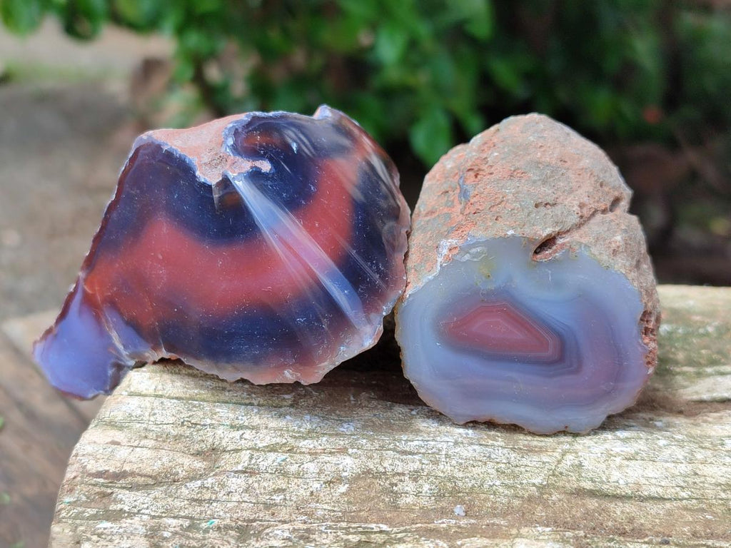 Polished On One Side Red Shashe River Agate Nodules x 12 From Shashe River, Zimbabwe