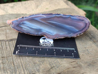 Polished On One Side Red Shashe River Agate Nodules x 12 From Shashe River, Zimbabwe