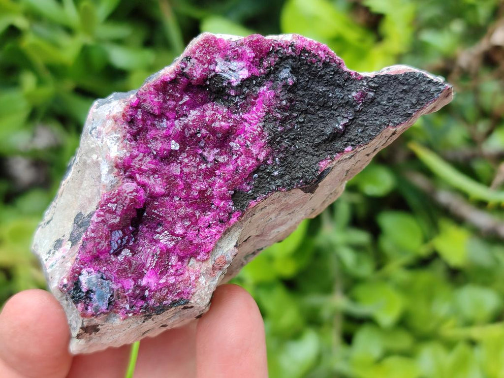 Natural Salrose Cobaltion Dolomite Specimens x 12 From Kakanda, Congo